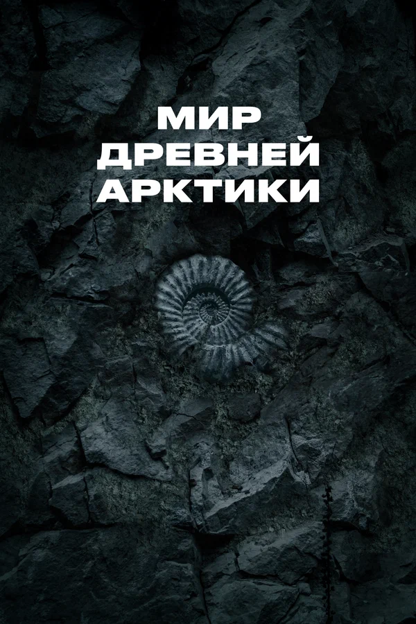 Project 2